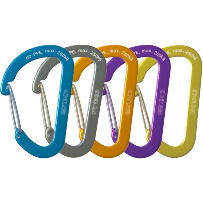 Edelrid Aranya キーチェーンカラビナ
