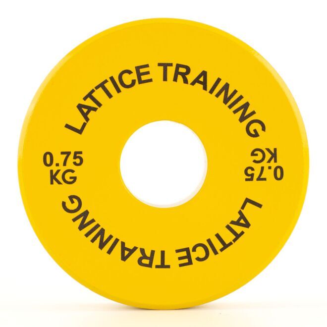 Lattice Training Fractional Weight Plates ウェイトプレート