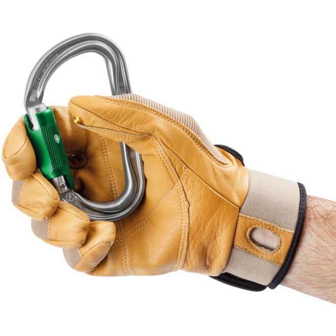 Petzl Am'd Pin-Lock 開放可能なカラビナ