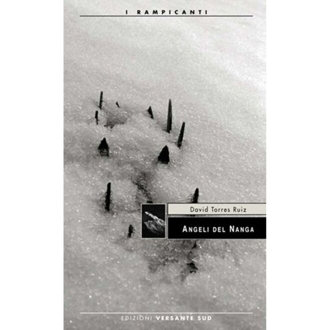 Versante Sud Angeli del Nanga アルピニズム小説